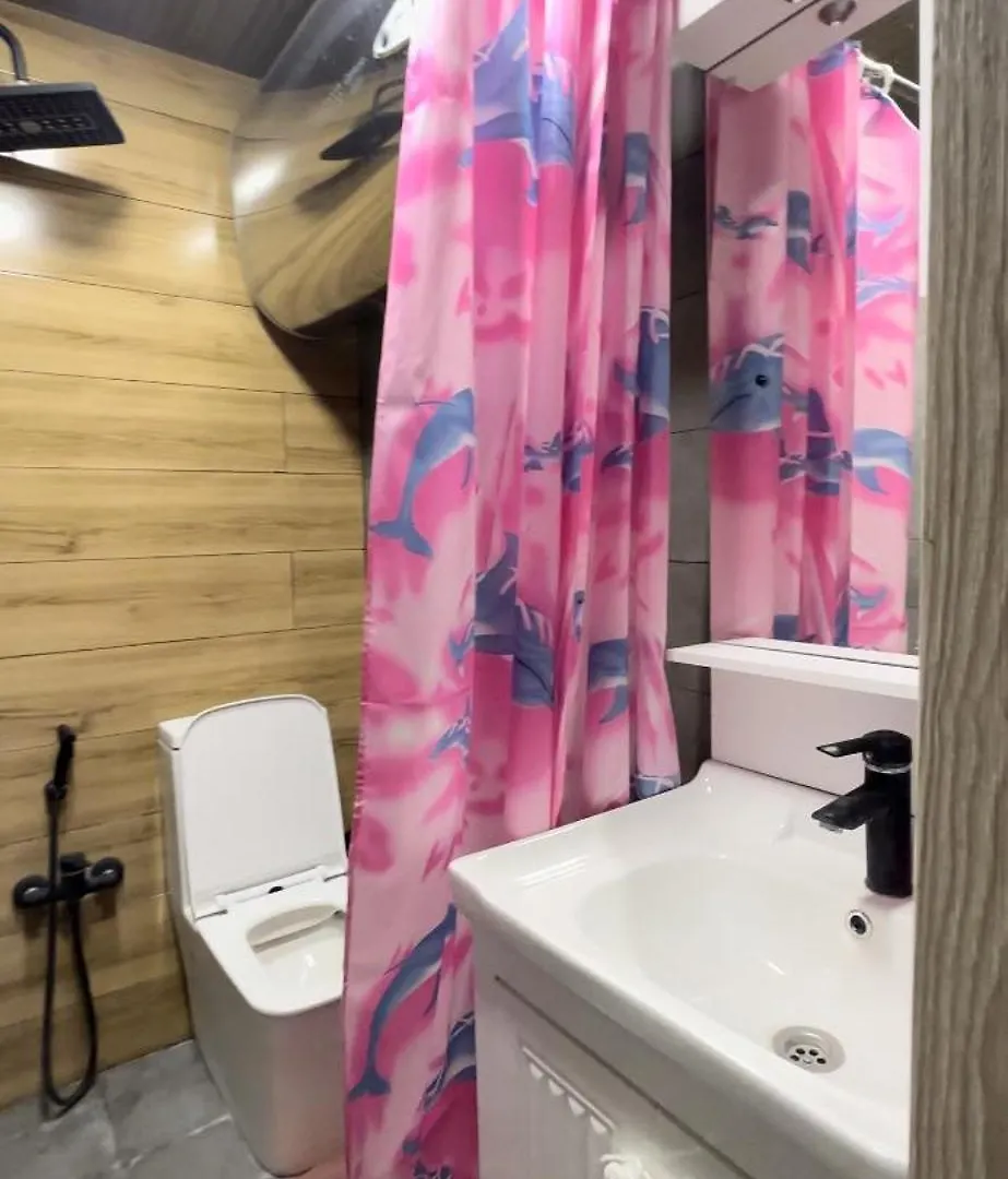 Comfortable Home In The Heart Of Baku, Torgovaya